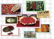 سوغات شهر مشهد در تور مشهد