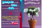 رشد ۵۰ درصدی سپرده‌های سرمایه‌گذاری بانک رفاه کارگران