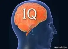 رئیس دانشگاه علوم پزشکی ایران: ایرانی ها سومین کشور باهوش دنیا هستند