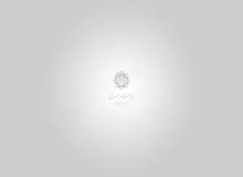 جزئیات آئین‌نامه تضمین امنیت غذایی و حمایت معیشتی خانوارها