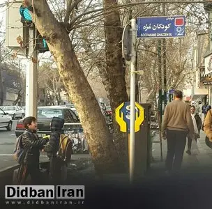 عضو شورای شهر تهران: در هر شهر ایران، باید خیابانی به نام «غزه» نامگذاری شود