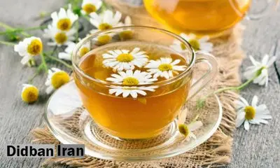 خواص گیاه بابونه در طب سنتی!