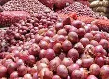 قیمت پیاز پایین می آید 