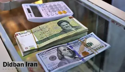 عضو اتاق مشترک بازرگانی ایران و هند: حذف دلار از تجارت ایران فرمالیته است 