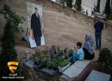 وقتی به نهال گیلاس مزار کیارستمی هم رحم نمی‌کنند