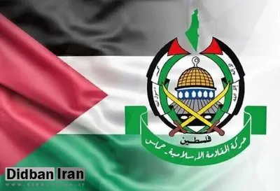 حماس از دریافت طرح جدید ویتکاف خبر داد