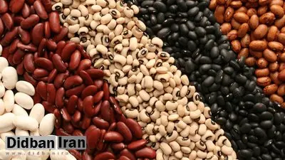 تصمیم جدید دولت برای بازار حبوبات / لوبیا لوکس شد!