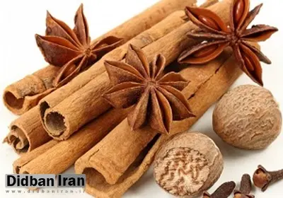 زنان باردار به هیچ عنوان دارچین نخورند