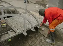 ۲هزار زیستگاه موش در شمال تهران طعمه گذاری شد