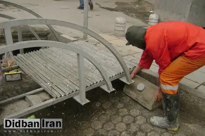 ۲هزار زیستگاه موش در شمال تهران طعمه گذاری شد
