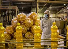 ماجرای «هر کارت ملی، یک روغن» چیست؟
