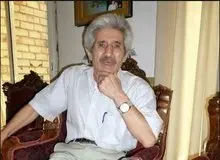 محمدعلی شیرازی: پس از انقلاب تنها دو، سه ترانه خوب داشتیم