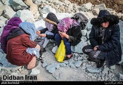 از هر ۱۰۰ زندانی ۴۳ نفر مجرم مواد مخدر هستند/ دستورالعملی برای درمان زنان معتاد نداریم