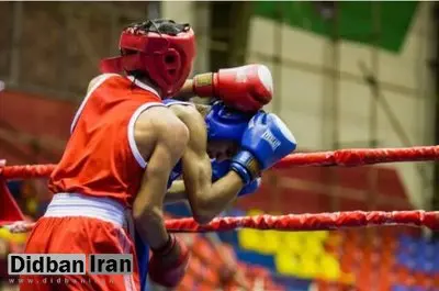 ۴ برنز حاصل کار بوکسورهای جوان ایران در آسیا/ چهره‌قانی فینالیست شد