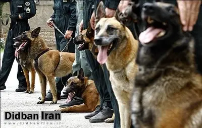 اولین بانک سلولی برای پلیس مواد مخدر راه‌اندازی شد