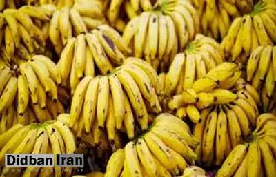 واردات موز در ازای صادرات کشمش