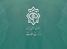 واکنش وزارت اطلاعات درباره حوادث اخیر مدارس: هیچ ماده سمی درکار نبود