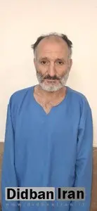  سارق حرفه‌ای داخل خودرو را شناسایی کنید +عکس