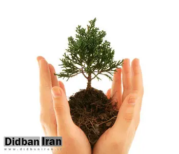 توزیع 44 هزار اصله نهال در شهرستان دماوند