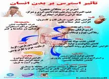اینفوگرافیک/  تاثیر استرس بر بدن انسان 
