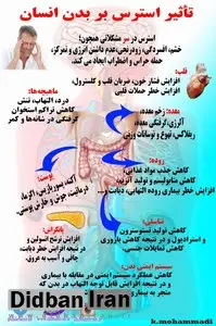 اینفوگرافیک/  تاثیر استرس بر بدن انسان 