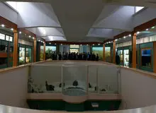 بازدید استاندار البرز از مؤسسه تحقیقاتی سرم سازی رازی