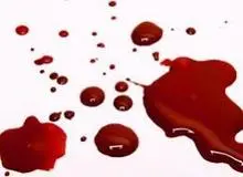 6سال حبس برای مرد ایرانی که همسرش را در آلمان کشت/به او گفتم مسیحی شو،مخالفت کرد؛ با چاقو زدمش