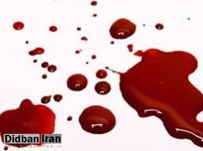 6سال حبس برای مرد ایرانی که همسرش را در آلمان کشت/به او گفتم مسیحی شو،مخالفت کرد؛ با چاقو زدمش