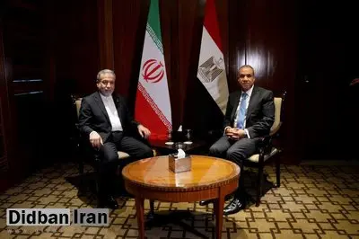 تحولات منطقه و موضوع هسته‌ای ایران؛ محور گفت‌وگوی عراقچی با وزیر خارجه مصر