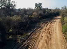 نابود کردن ۲هزار درخت پارک ملی کرخه برای جلوگیری از وقوع سیل!