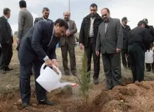 کاشت 8000 درخت در بازداشتگاه اوین +عکس