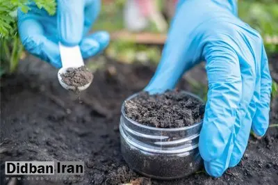 کشف آنتی‌بیوتیکی قدرتمند که مقاوم‌ترین باکتری‌ها را نابود می‌کند