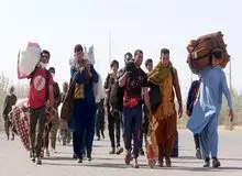 عضو کمیسیون شوراها: نیمی از اتباع باید کشور را ترک کنند/ حاکمیت حتی در خصوص اتباع مجاز هم آمار دقیقی ندارد