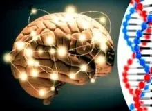 گزارش مرکز بین المللی مطالعات تیمز و پرلز نشان داد: نسل جدید ایرانیان قدرت ریاضی و استدلالی کمتری دارند 