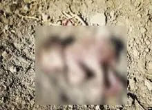 وضعیت پرونده نوزاد پیدا شده در حاشیه اصفهان به کجا رسید؟
