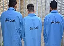 جزییات دستگیری سارقان انباری‌های شرق تهران