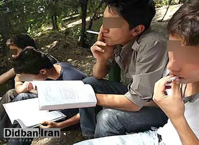 سن ابتلا به اعتیاد در ایران ۵ سال بیشتر از کشورهای دیگر است