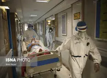 ۸۸ هموطن دیگر جان خود را از دست دادند