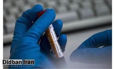 ۳ دوپینگ جدید در کشتی ایران+اسامی/ محرومیت ۳ ساله برای پدیده وزن حسن یزدانی