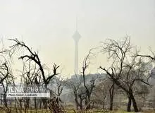 آلودگی کُشنده هوای تهران/ تصاویــــر
