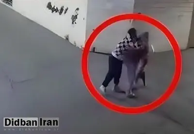 سارق گوشواره یک بانوی جوان بازداشت شد