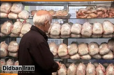 اتحادیه مرغداران گوشتی: سرانه مصرف مرغ نسبت به سال گذشته ۶ کیلوگرم کم شده و به ۲۶ کیلو در سال رسیده است