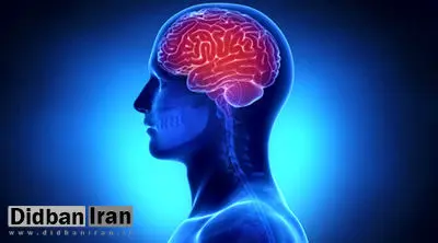 چه ساعتی مغز آقایان خیلی افت می‌کند؟