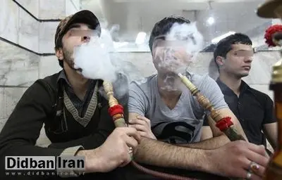 آغاز اجرای طرح برخورد با قلیان سراهای غیرمجاز در پایتخت