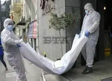  آیا قاضی منصوری زنده است؟!