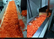 ۲ برند معروف پفک از خوراک دام استفاده می‌کردند/ توضیحات سازمان غذا و دارو
