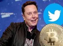 ایلان ماسک با خرید ۹.۲ درصد از سهام توئیتر بزرگترین سهامدار این شبکه اجتماعی شد