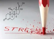 این «هورمون» دشمن کاهش وزن است!