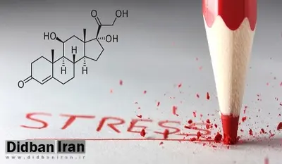 این «هورمون» دشمن کاهش وزن است!