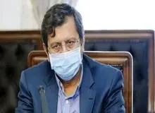 همتی:  مشخصات ۲۰ هزار کارت بانکی مورد استفاده سایت‌های قمار را به قوه قضائیه دادیم